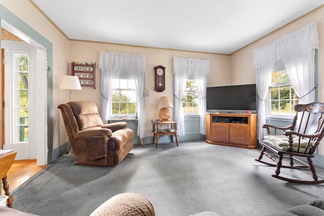 living room with carpet, plenty of natural light, and crown molding