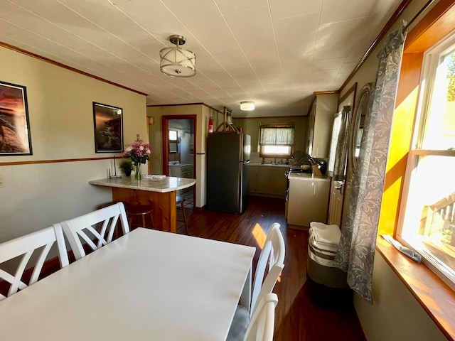 dining room with dark hardwood / wood-style floors and crown molding