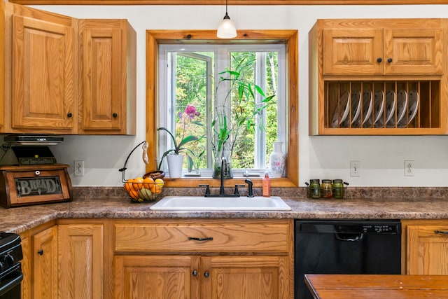 kitchen featuring dishwasher, decorative light fixtures, and sink