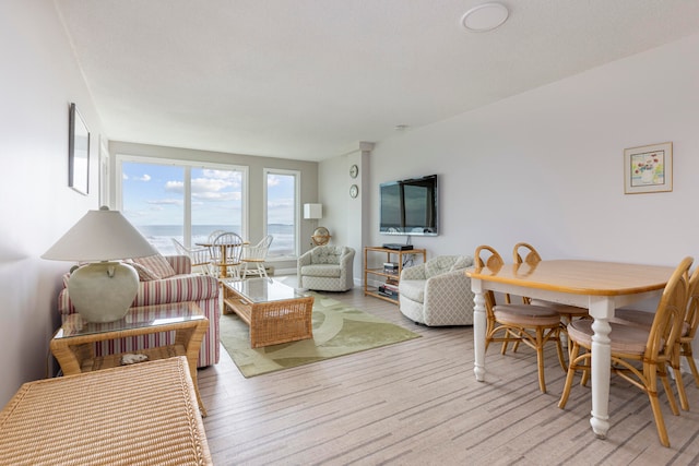 living room featuring light hardwood / wood-style flooring