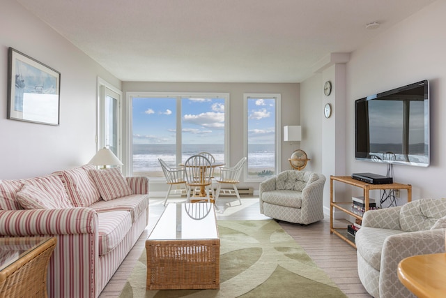 living room with light hardwood / wood-style flooring and a baseboard heating unit