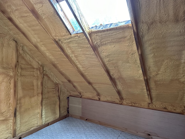 attic featuring a skylight and a healthy amount of sunlight