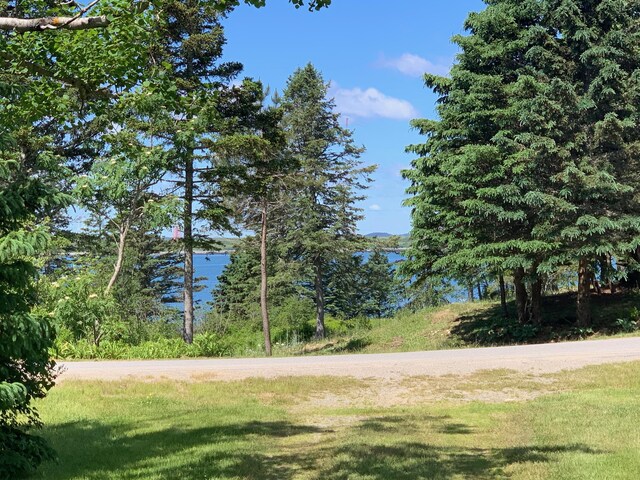 view of community featuring a water view