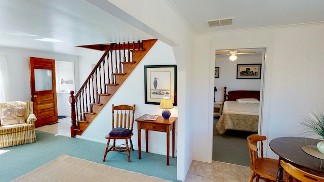 staircase featuring ornamental molding, ceiling fan, and carpet