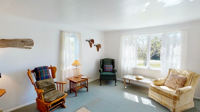 living area with carpet floors