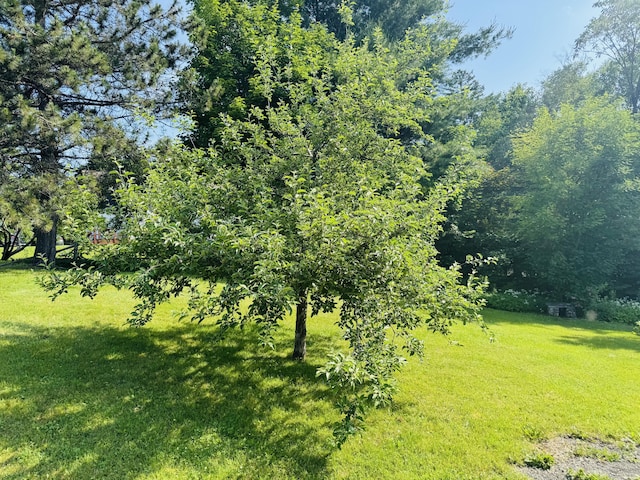 745 Main St, Caribou, ME 04736 - photo 12