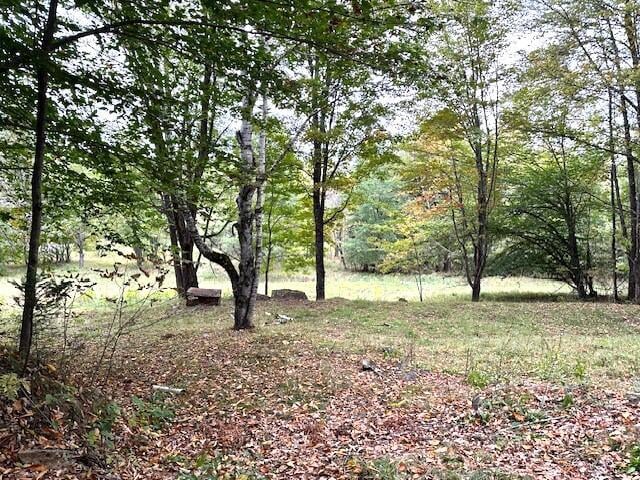 176 Long Falls Dam Rd, New Portland, ME 04961 - photo 10