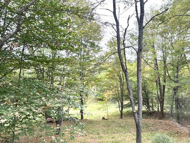 176 Long Falls Dam Rd, New Portland, ME 04961 - photo 11