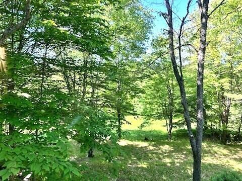 176 Long Falls Dam Rd, New Portland, ME 04961 - photo 12