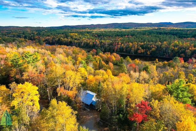 176 Long Falls Dam Rd, New Portland, ME 04961 - photo 33