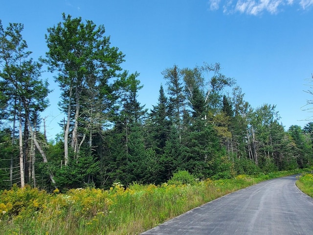 LOT27-7 Sherer Rd, Stockton Springs, ME 04981 - photo 4