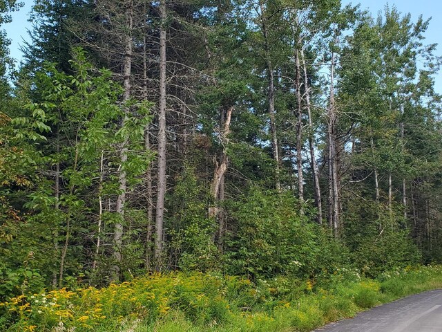LOT27-7 Sherer Rd, Stockton Springs, ME 04981 - photo 9