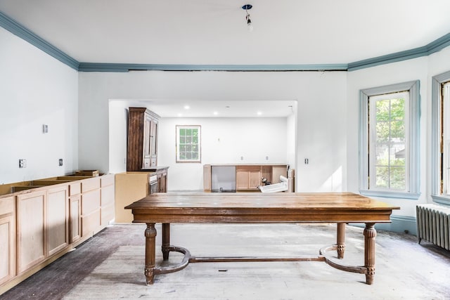 recreation room with crown molding and radiator