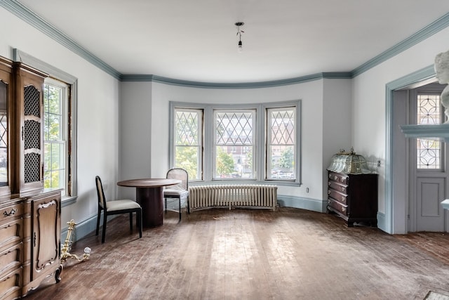 sitting room featuring radiator heating unit, baseboards, and hardwood / wood-style floors