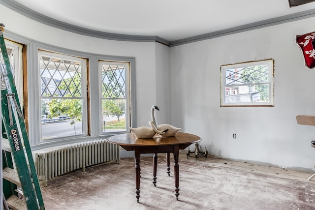 miscellaneous room with ornamental molding, radiator heating unit, and a wealth of natural light