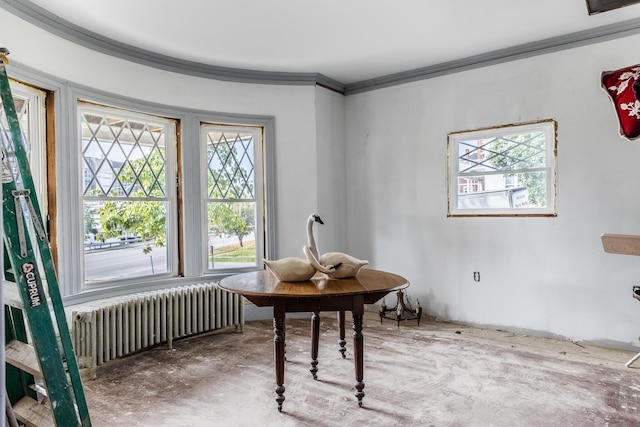 office with ornamental molding and radiator