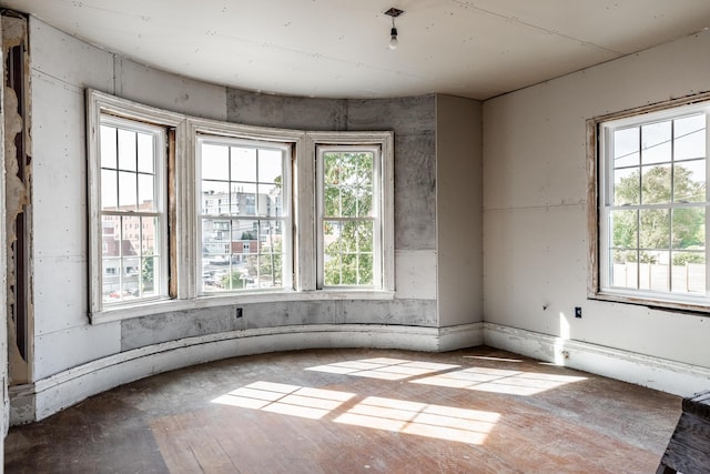 unfurnished room with a healthy amount of sunlight