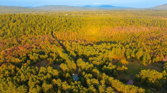 drone / aerial view featuring a mountain view