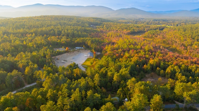 drone / aerial view with a mountain view