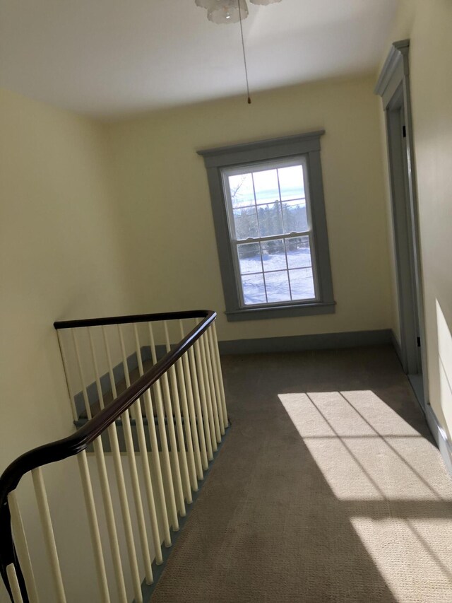 staircase with carpet and ceiling fan