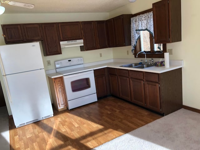 kitchen featuring dark brown cabinetry, ceiling fan, sink, white appliances, and hardwood / wood-style floors