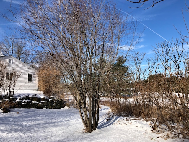 view of yard layered in snow