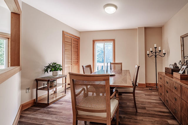 dining space with plenty of natural light and dark hardwood / wood-style flooring