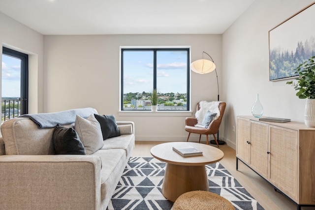 living room featuring light hardwood / wood-style floors