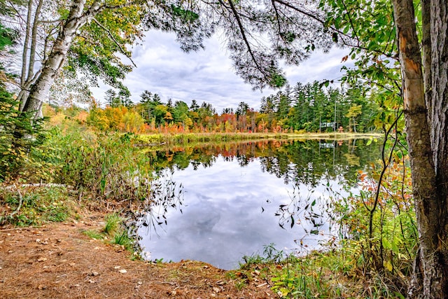 view of water feature