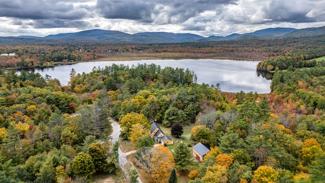 drone / aerial view featuring a water and mountain view