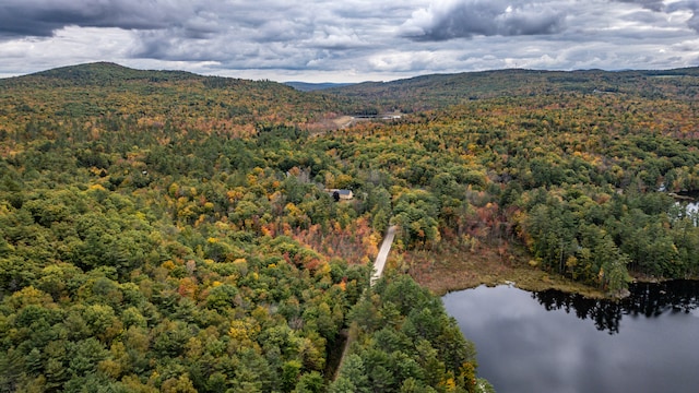 drone / aerial view with a water and mountain view