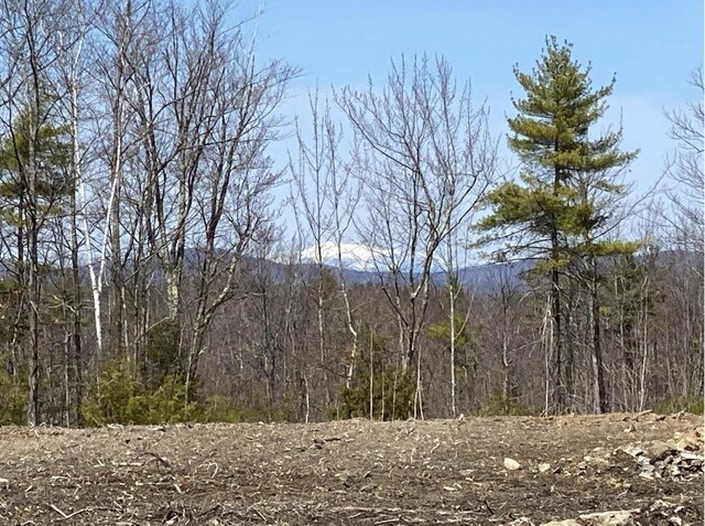 view of local wilderness