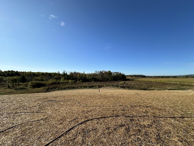 view of yard featuring a rural view