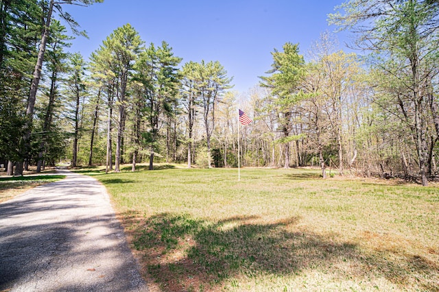 35 Middle Rd, Acton, ME 04001 - view of home's community featuring a lawn, driveway, and a view of trees