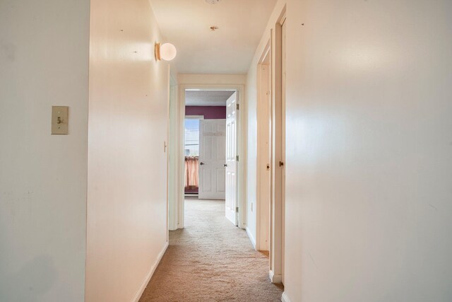 215 E Grand Ave Unit 206, Old Orchard Beach, ME 04064 - corridor with light colored carpet and baseboards