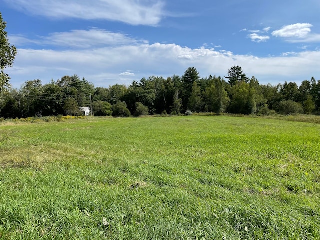 view of local wilderness featuring a rural view