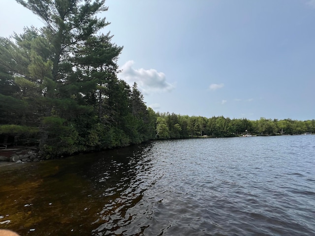 269 Egg Pond Rd, Lincoln ME, 04457 land for sale