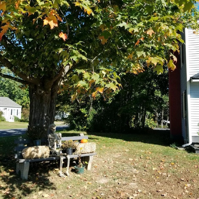 view of yard