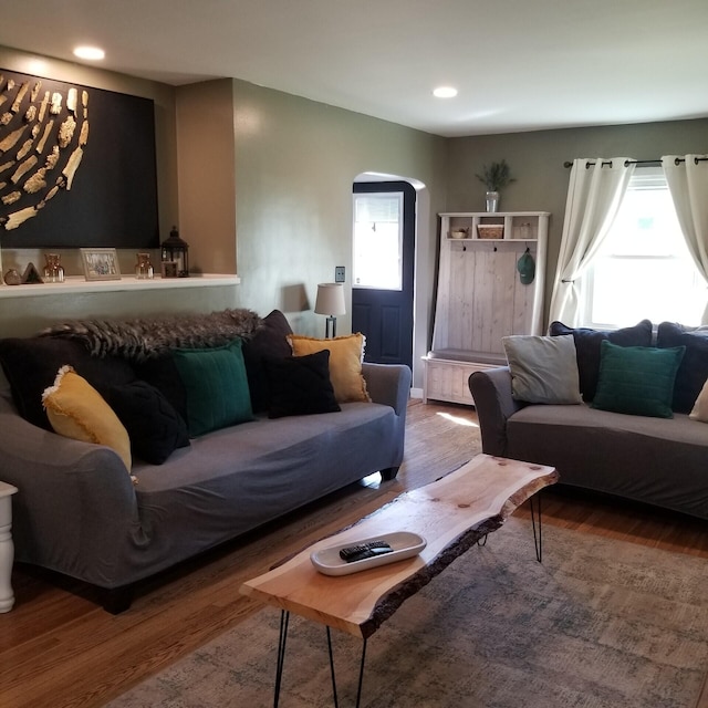 living room featuring a wealth of natural light and wood-type flooring