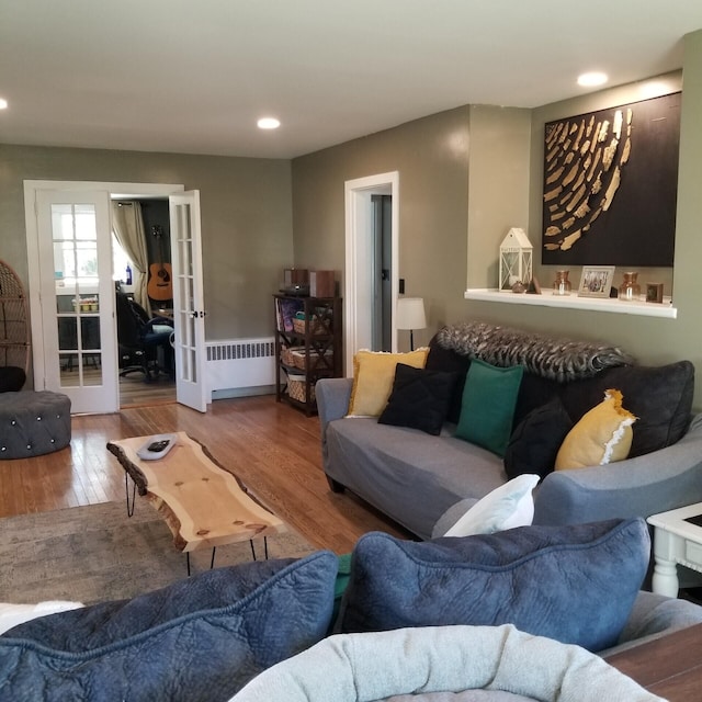 living room featuring wood-type flooring