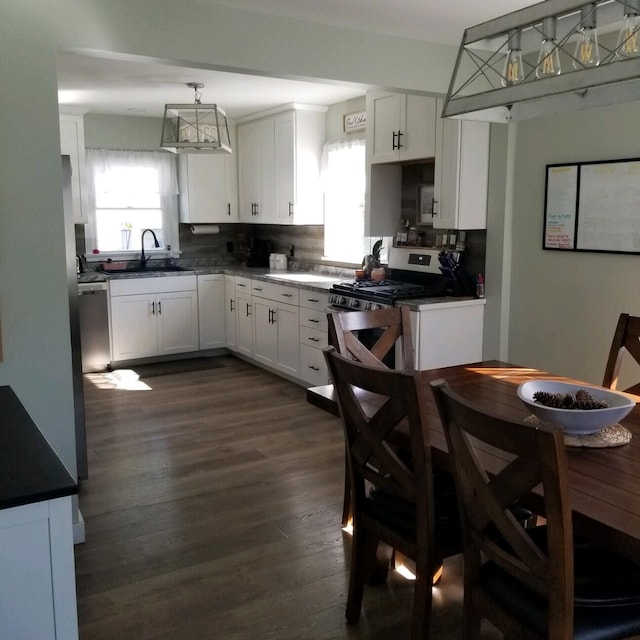 kitchen with white cabinetry, sink, dark wood-type flooring, and stainless steel appliances