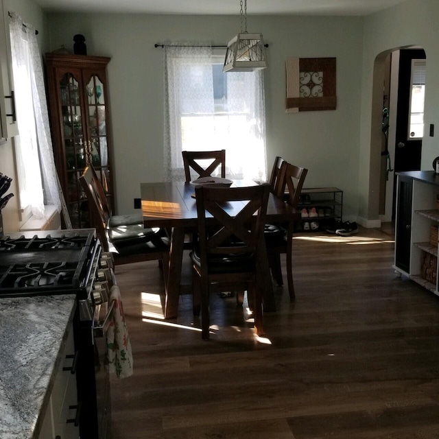 dining area featuring dark hardwood / wood-style floors