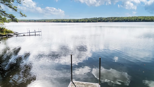 property view of water featuring a boat dock