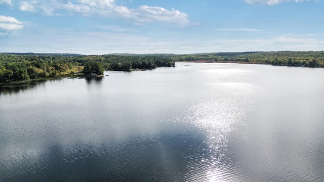 property view of water