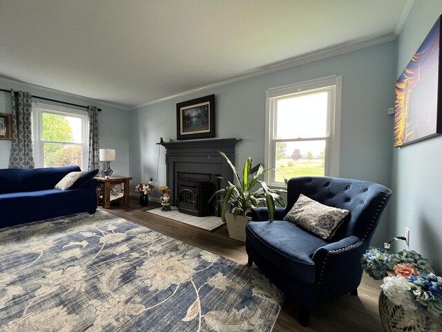 living room featuring crown molding and hardwood / wood-style flooring