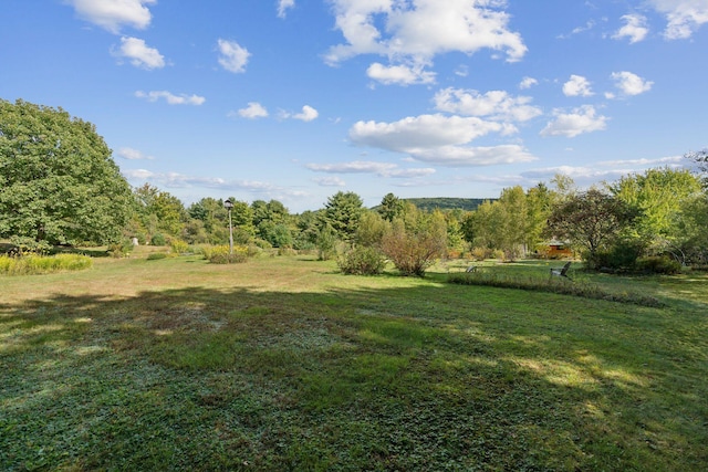 view of yard with a rural view