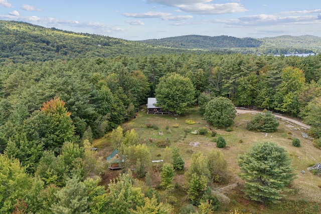 aerial view with a mountain view