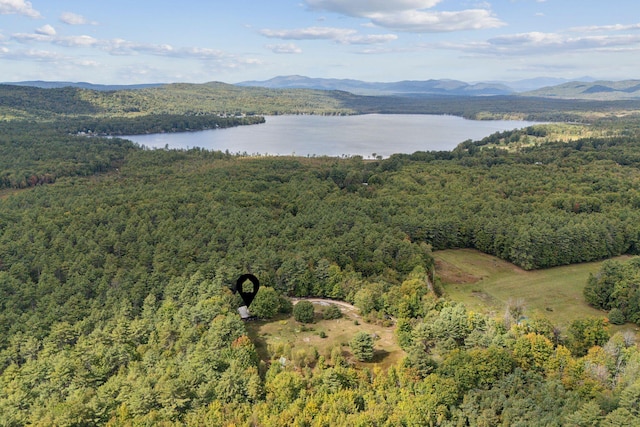 bird's eye view featuring a water and mountain view