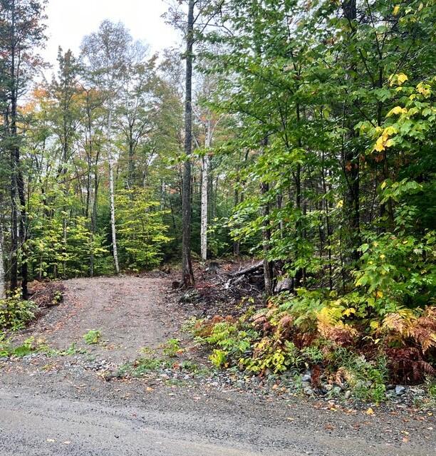 2010 Pine Rd, Carrabassett Valley ME, 04947 land for sale