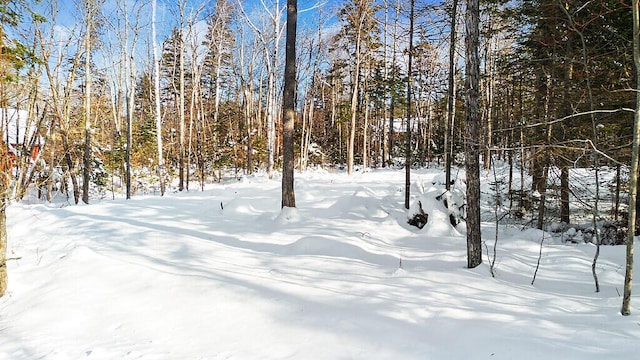 Listing photo 2 for 2010 Pine Rd, Carrabassett Valley ME 04947